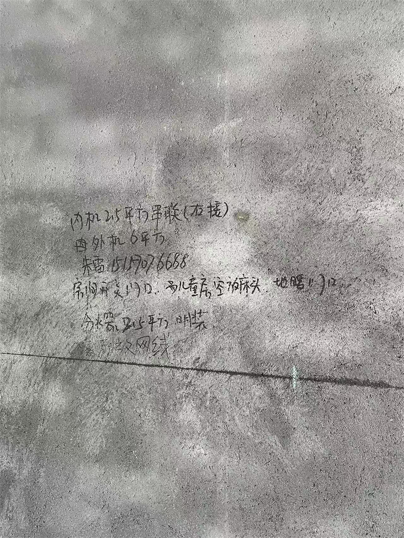 mmexport1751091086941.jpg