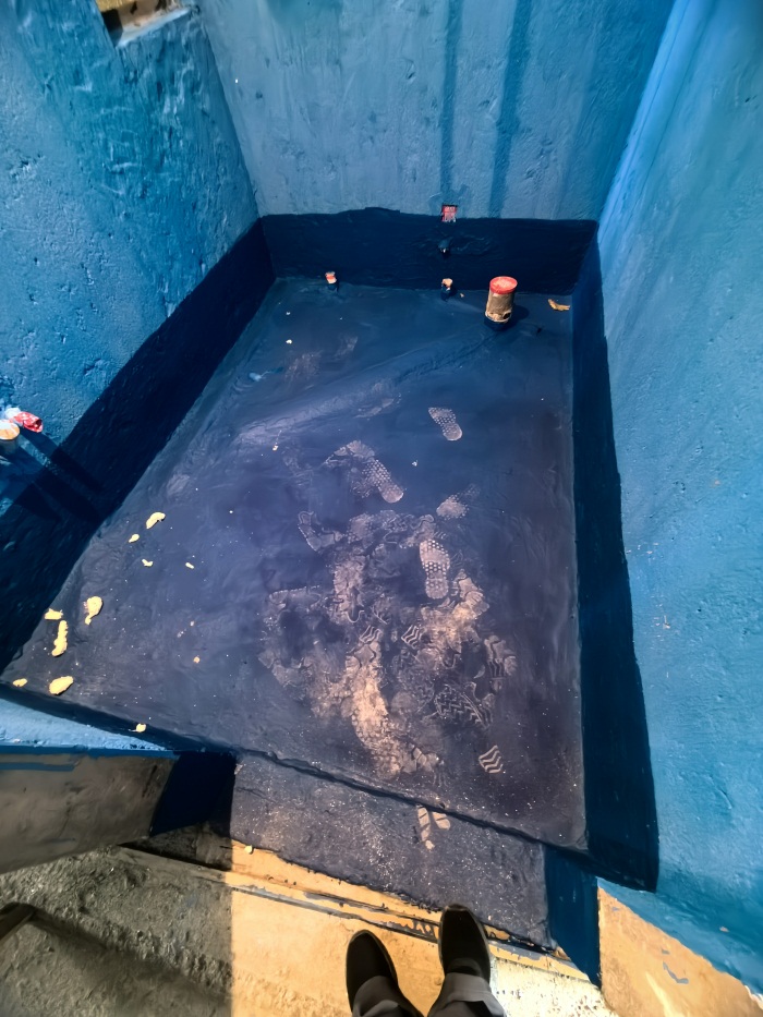 IMG_20250630_081729.jpg