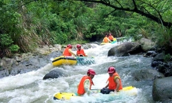 ����ȫԱʢ�ľŻ�Ư����